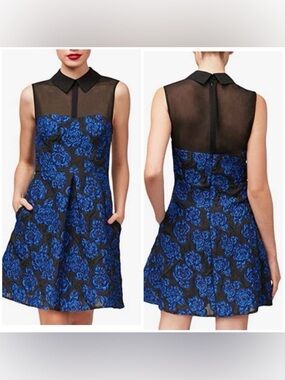 Betsey Johnson Black & Royal Blue Floral Mesh Yoke Sleeveless Mini Dress